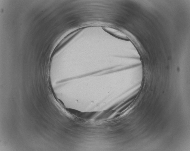 X0000081431244200702021644