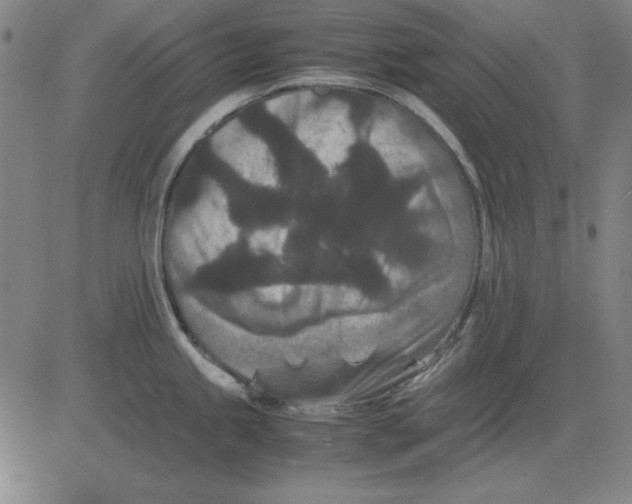 X0000081431245200702021644