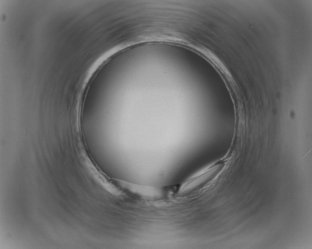 X0000081431246200702021644