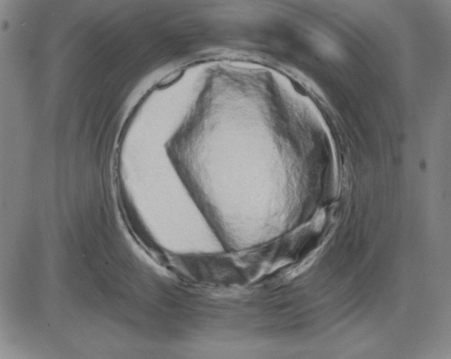 X0000081431247200702021644