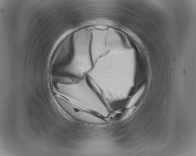 X0000081431248200702021644