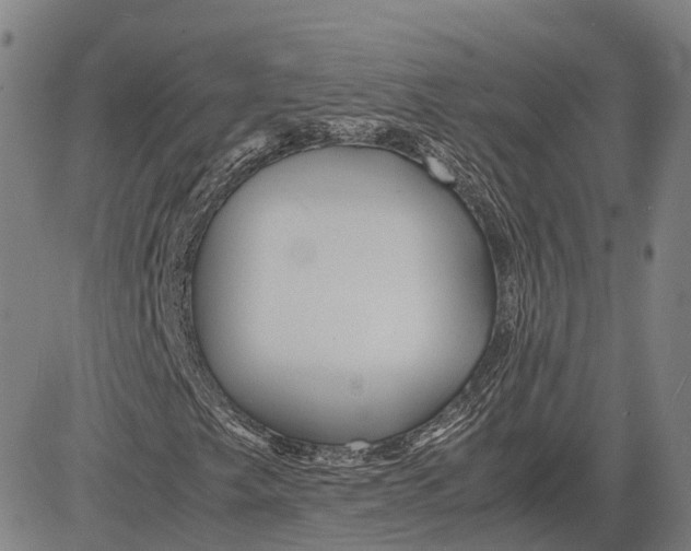 X0000081431249200702021644