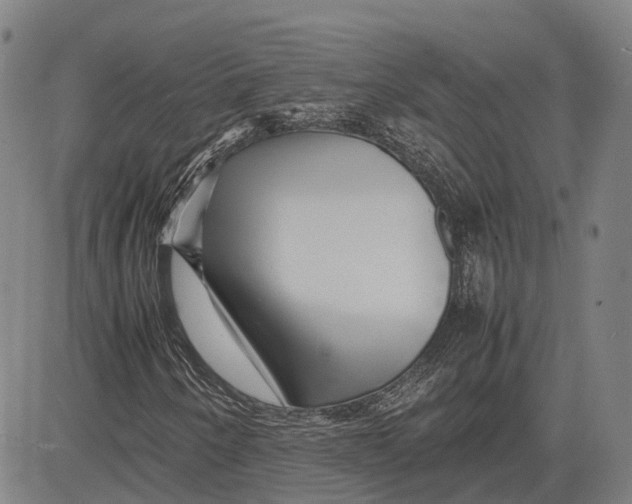 X0000081431250200702021644