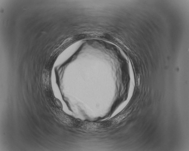 X0000081431251200702021644