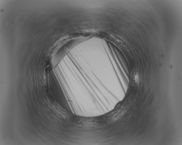 X0000081431252200702021644