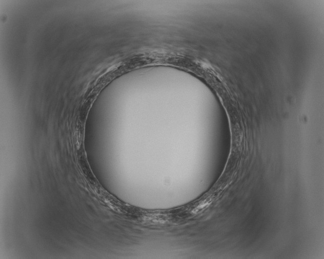 X0000081431253200702021644