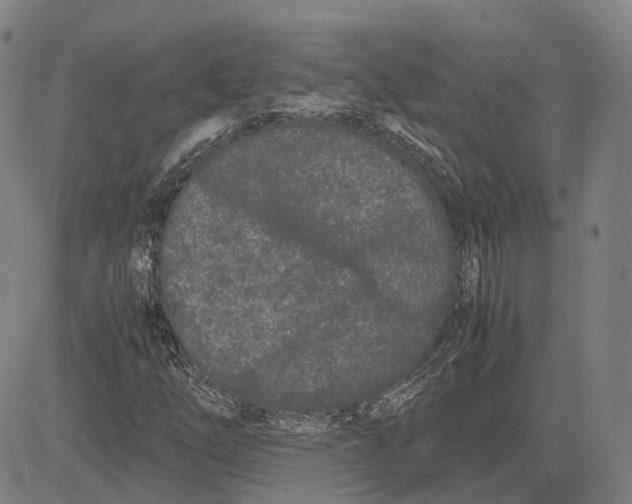 X0000081431254200702021644