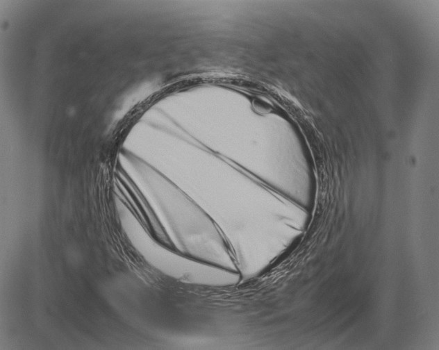 X0000081431255200702021644