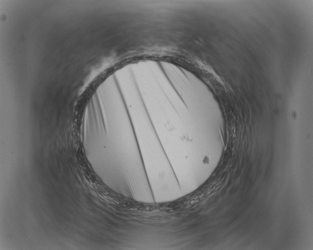 X0000081431256200702021643