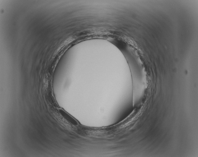 X0000081431257200702021643