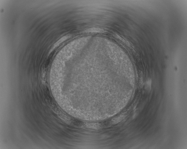 X0000081431258200702021643