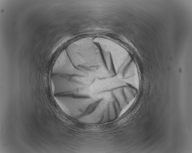 X0000081431259200702021643