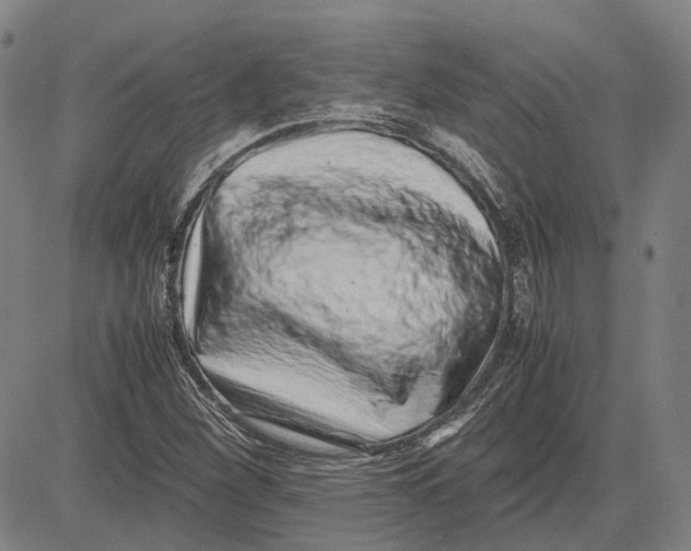 X0000081431260200702021643