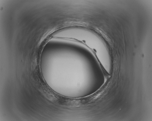 X0000081431261200702021643