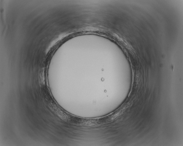 X0000081431262200702021643