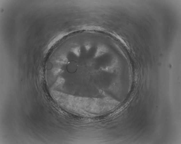 X0000081431263200702021643