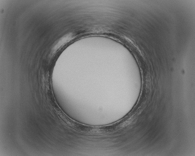 X0000081431265200702021643