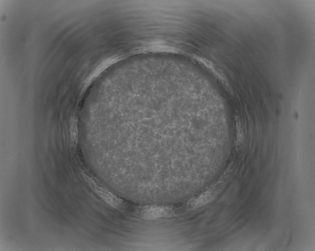 X0000081431266200702021643