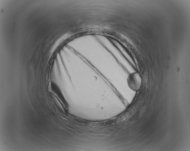 X0000081431267200702021643