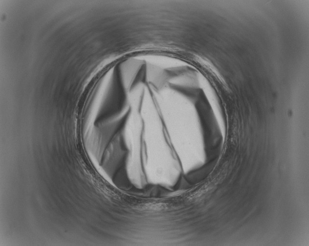 X0000081431268200702021643