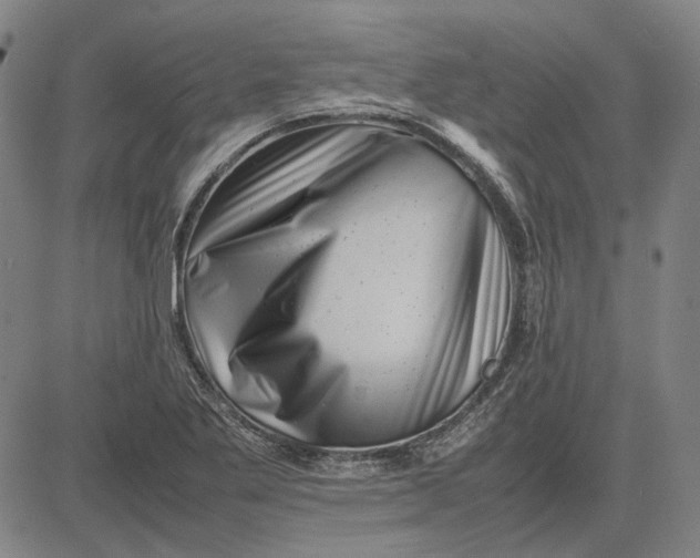 X0000081431269200702021643