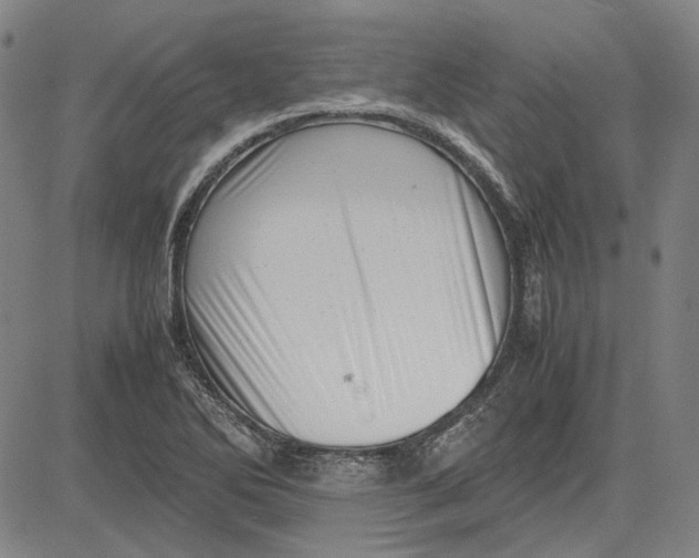 X0000081431270200702021643