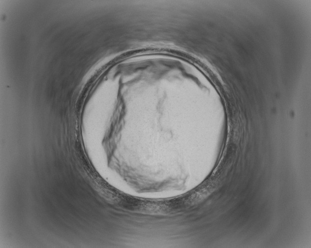 X0000081431271200702021643