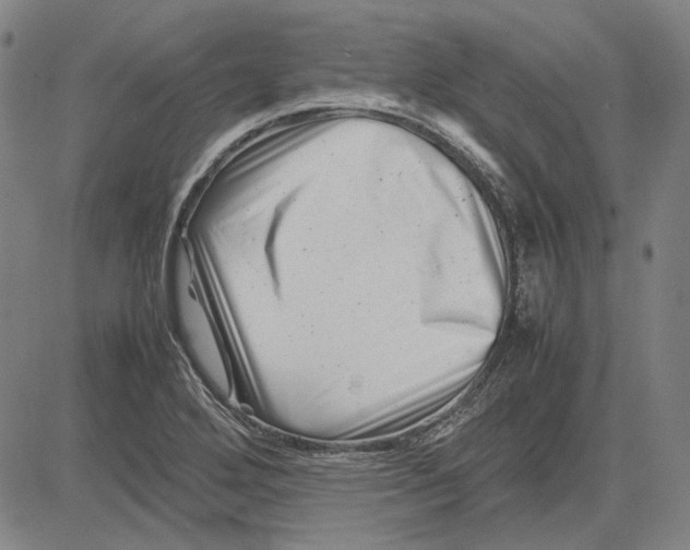 X0000081431272200702021643