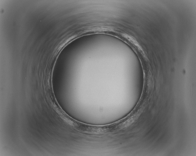 X0000081431273200702021643