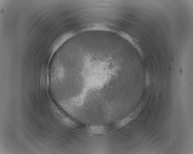 X0000081431274200702021643