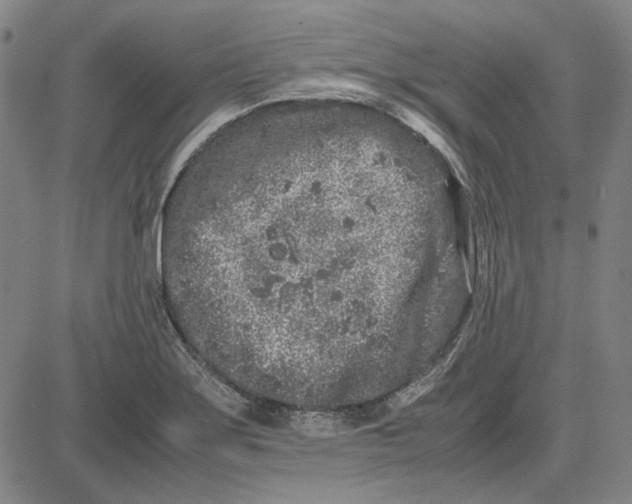 X0000081431275200702021643