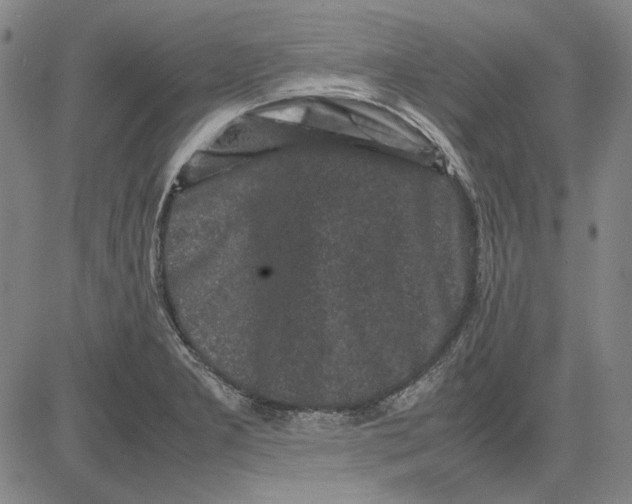 X0000081431277200702021643