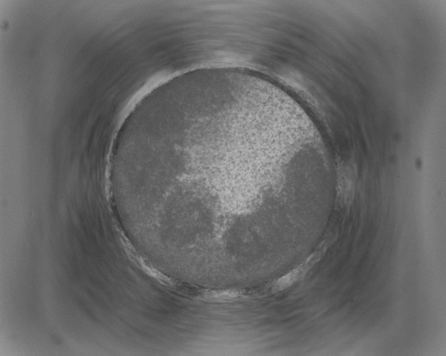 X0000081431278200702021643