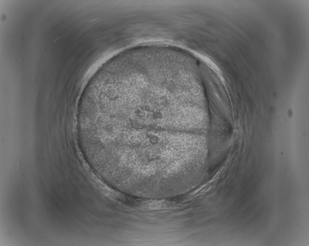 X0000081431279200702021643