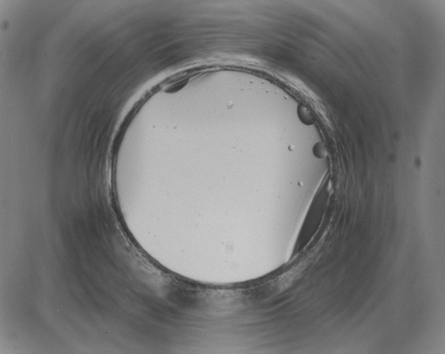 X0000081431280200702021643