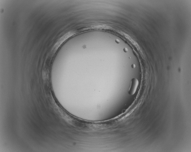 X0000081431281200702021643