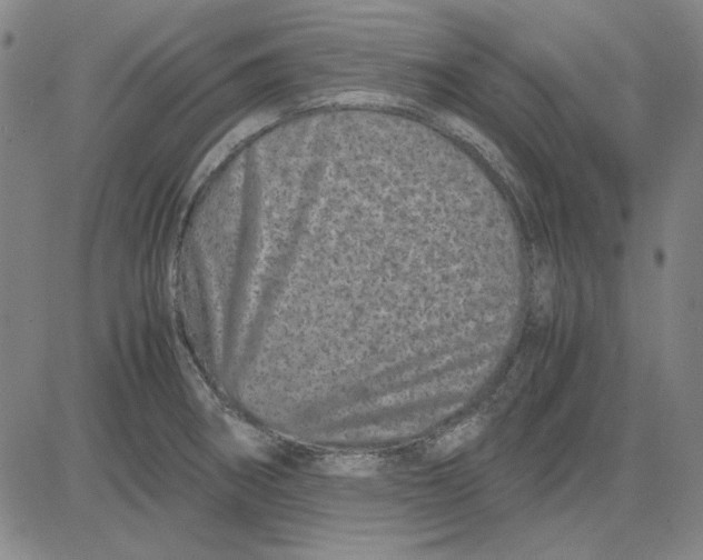 X0000081431282200702021643