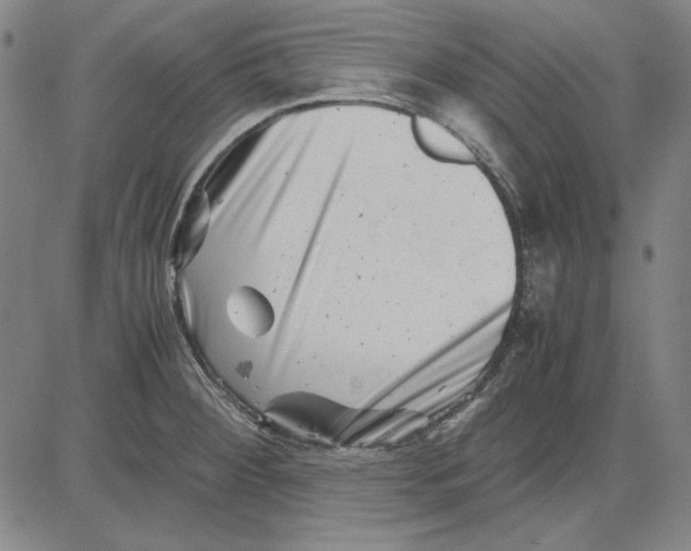 X0000081431284200702021643