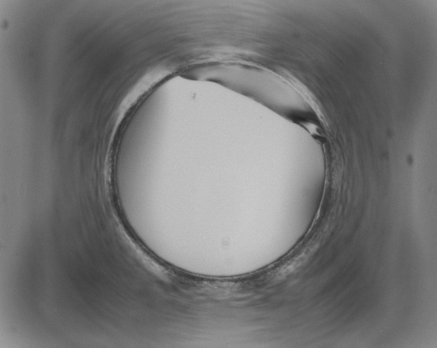 X0000081431285200702021643