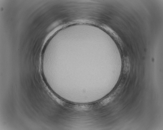 X0000081431286200702021643