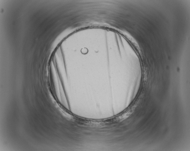 X0000081431287200702021643