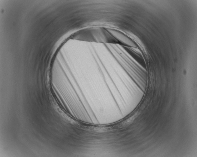 X0000081431288200702021643