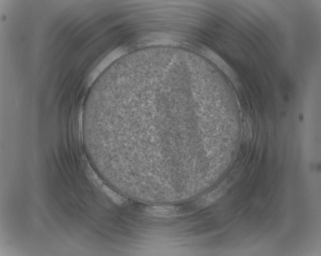 X0000081431290200702021643