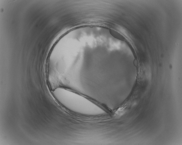 X0000081431291200702021643