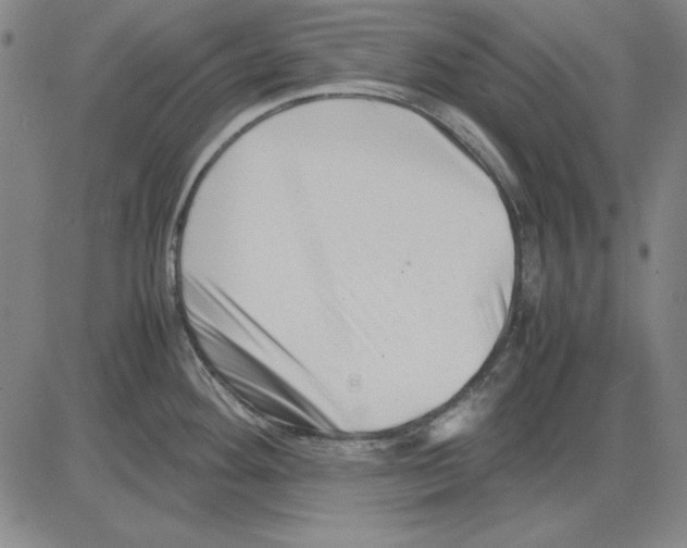 X0000081431292200702021643