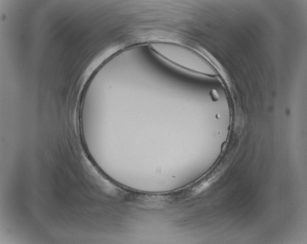 X0000081431293200702021643