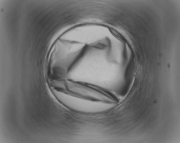 X0000081431295200702021643