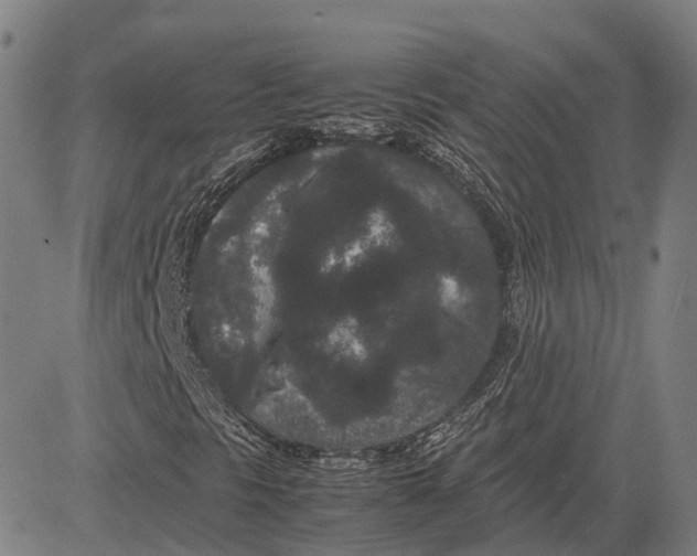 X0000081431297200702021642