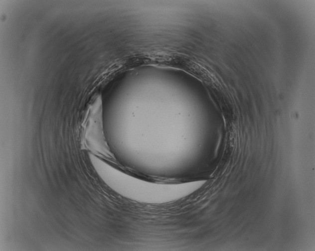 X0000081431298200702021642