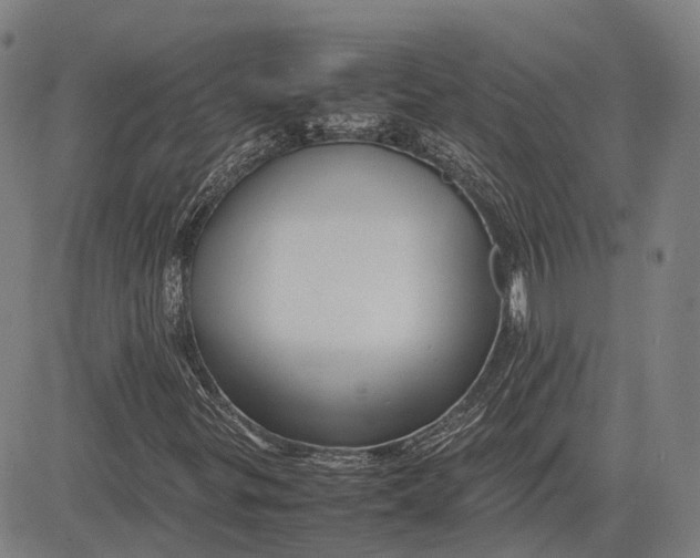 X0000081431299200702021642